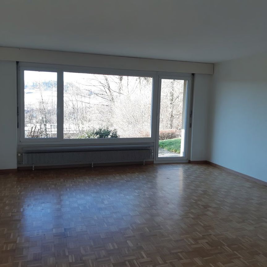 2.5 Zimmer, 30 m², Untergeschoss - Photo 1