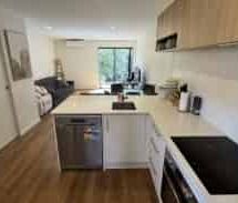 The perfect Gem in Otahuhu - Photo 3