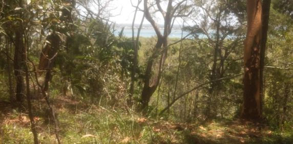 Coochiemudlo Island - Photo 2