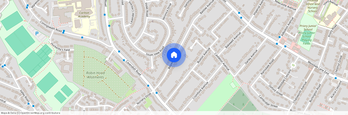 Belper Avenue, Carlton