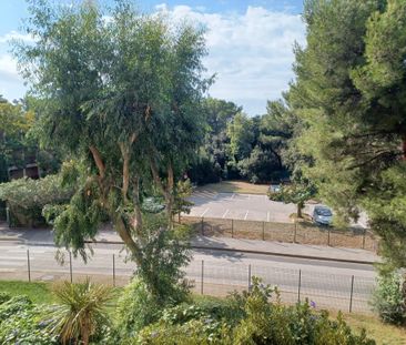 Appartement - Six-Fours-les-Plages - Photo 2