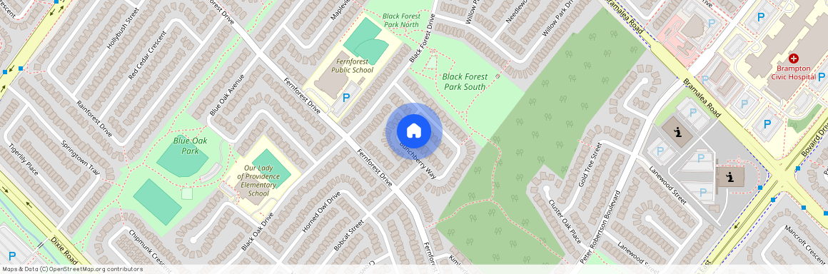 125 Bunchberry Way, Brampton