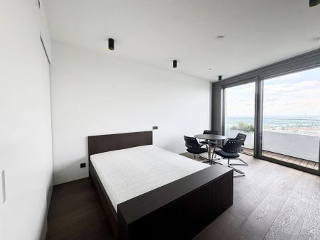 DANUBEFLATS: Elegant möbliertes Studio mit Cityblick: Doorman, Gym, Spa, Pool, Lounges - Internet inkl. - Tiefgaragenstellplatz möglich! - Foto 4