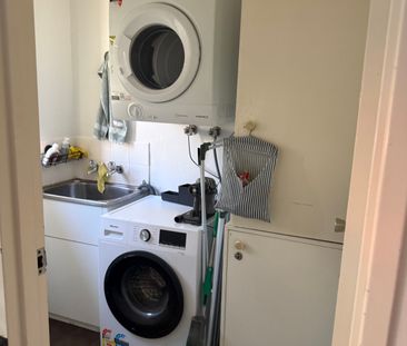 Hawthorn East - Photo 6