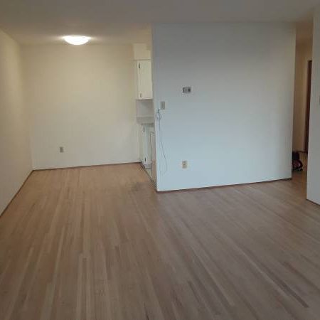 One Bedroom for rent in Marpole area, Vancouver - Photo 4