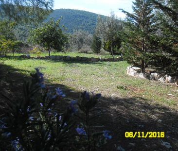 Μονοκατοικία για ενοικίαση Αθίκια (Σαρωνικός) - Photo 5