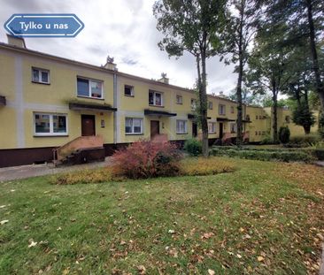 Dom na Wynajem, 100.00m - Photo 5