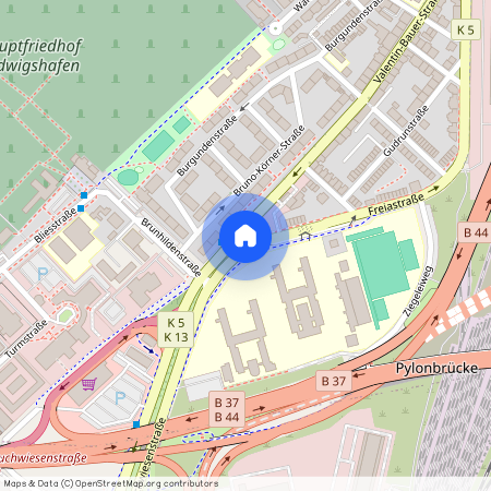 67059 Rheinland-Pfalz - Ludwigshafen