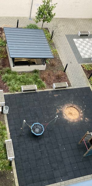 Mietwohnung in Offenbach - Die erste gemeinsame Wohnung - Photo 2