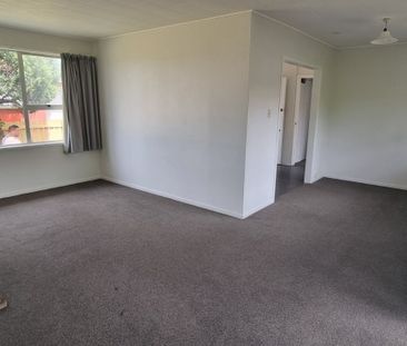 45 Collie Drive, Pukehangi - Photo 2