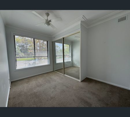 18 Kirton Avenue, Rankin Park, NSW 2287 - Photo 5