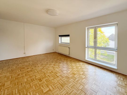 Sehr schöne, helle 1-Zimmer-Wohnung im 2. Obergeschoss - Nähe Krankenhaus - Photo 1