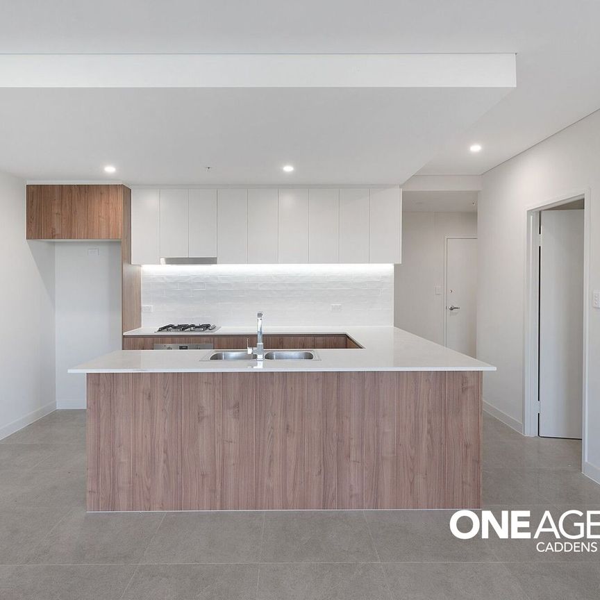 6/1 Markham Avenue - Photo 1