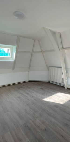 Te huur: Kamer Oude Rijn in Leiden - Photo 1