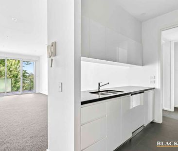 Extra Large One Bedroom Apartment in the Parliamentary Triangle - Photo 6