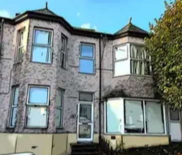 Seymour Avenue Room 3 - Photo 1