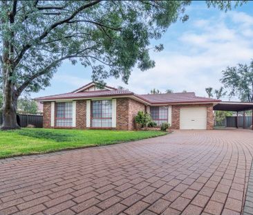 3 Bedroom Home that Ticks all the Boxes - Photo 2