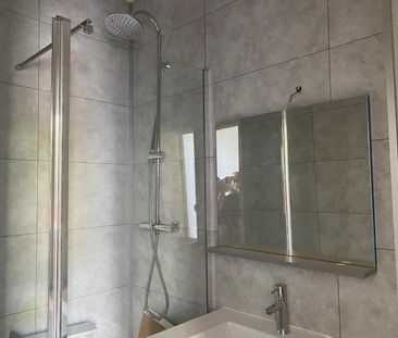 Location Appartement 1 pièce 15m² ALBI 81000 - Photo 2