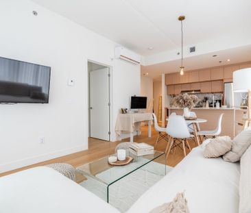 385 Rue St Martin Montréal (Le Sud-Ouest), QC H3J - Photo 3