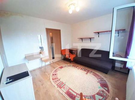 1 camera, 25 mp, Pet Friendly, zona strazii Septimiu Albinii - Fotografie 3