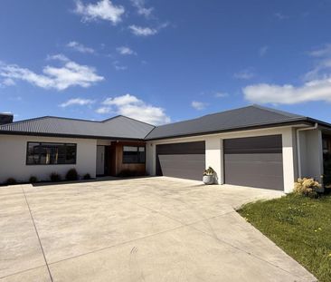 Sunny, Stylish and Spacious! - Photo 6