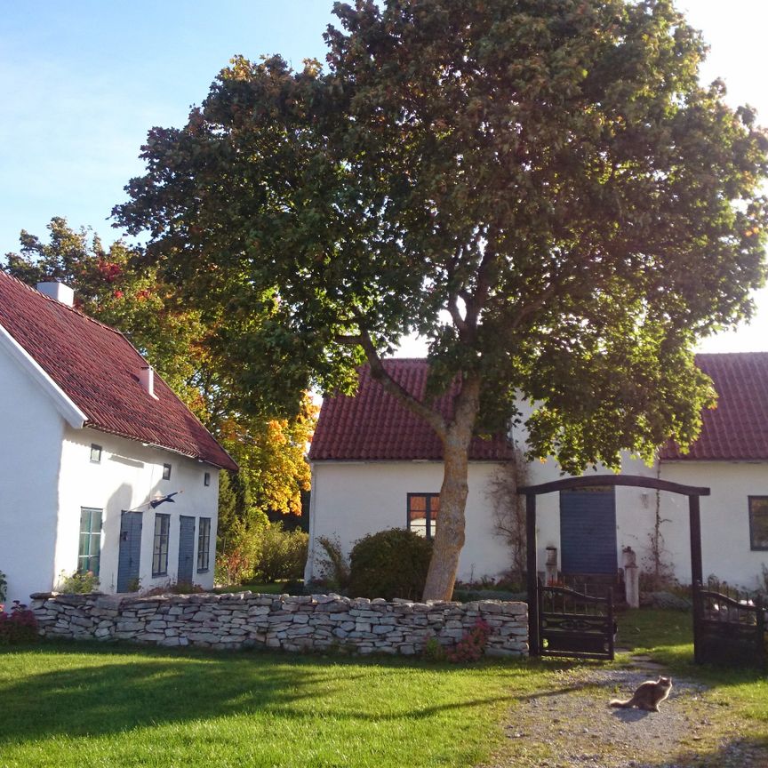 Boge Mojner, Slite - Foto 2