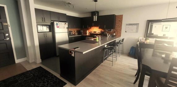 RARE – Grand 4 1/2 au R-C avec 2 stationnements (Prix imbattable) - Photo 2