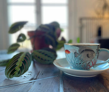 Ringvägen, Stockholm - Foto 1 | Rentumo