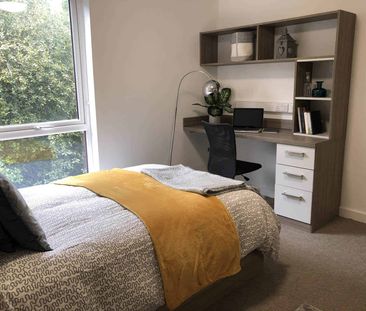 Deluxe Studio - Photo 6