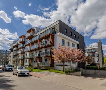 Słoneczne mieszkanie na wynajem 56 m² - Zdjęcie 3