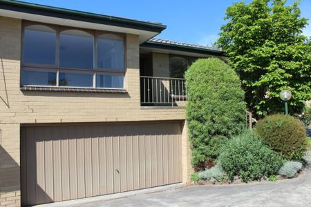 Bright and Light Two Bedroom Unit - Photo 3