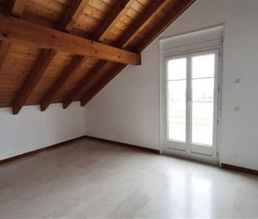 3.5 Zimmer, EG - Photo 3