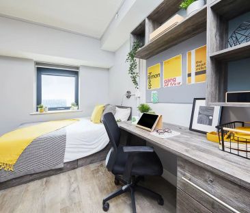 Large Studio - Photo 6