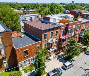 5283 Rue Berri, Montréal (Le Plateau-Mont-Royal), QC H2J - Photo 4