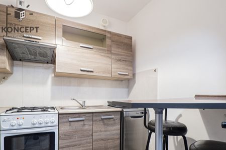 Mieszkanie 2-pok tuż obok Ogrodu Botanicznego - Zdjęcie 4