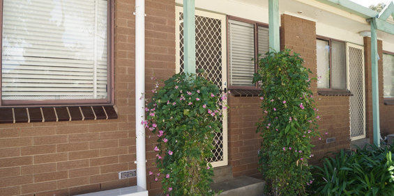 Affordable Unit in West Albury!! - Photo 3