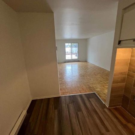 1 CH - 1 SDB - Saint-Eustache - $1,200 /mo - Photo 3