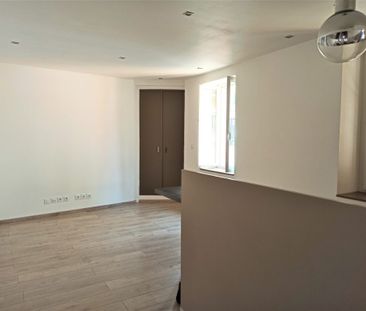 Location Appartement 1 pièce 27m² VIENNE 38200 - Photo 1