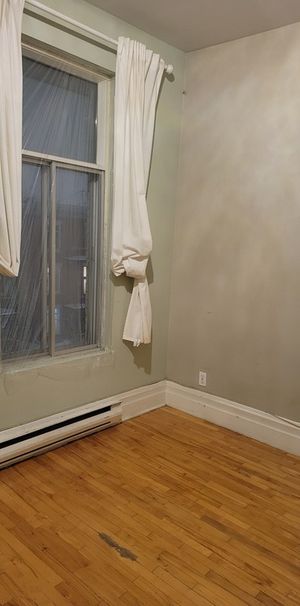 Havre De Paix Dans Le Coeur Du Mile-End - Photo 1