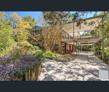 Living amongst the trees, but SO convenient! - Photo 6