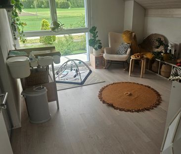Faoug VD à louer superbe villa de 5.5 pièces avec grand jardin arboré - Photo 2