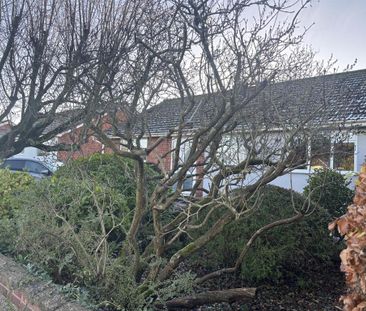 3 bedroom detached bungalow to rent - Photo 1