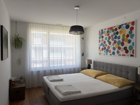 Charmante möblierte 3.5 Zimmer-Wohnung mit Dachterrasse im Herzen von Luzern - Foto 5