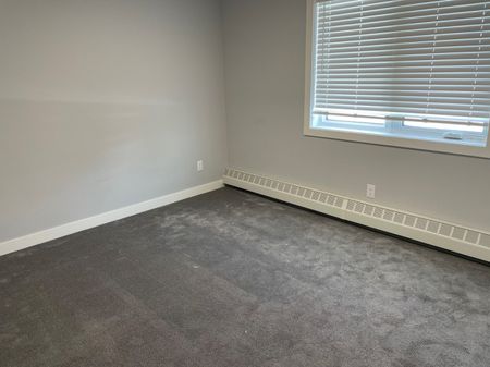 Small Pet Friendly 1 bed Apt located on the beach front in Sylvan Lake - Photo 2