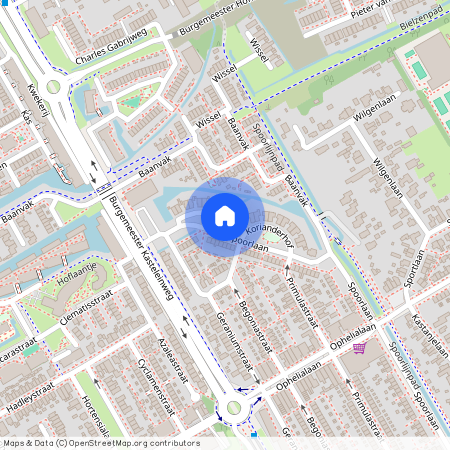 Korianderhof 1, 1431DZ, Aalsmeer