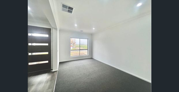 Modern Family Home in a Prime Armstrong Creek Location - Photo 1