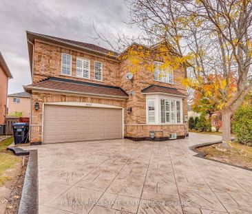 For Lease - 3213 Mcdowell (Basement) Drive, Mississauga, Ontario - Photo 1