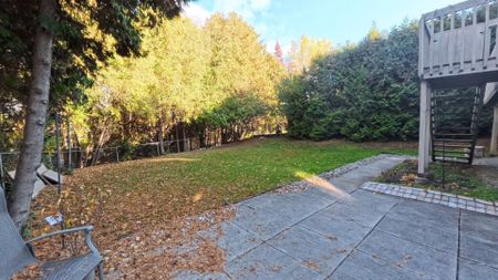 For Lease - 40 Cranberry Lane Unit# Bsmt, Aurora, Ontario - Photo 3