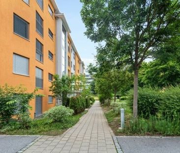 Sunny prospects for you - Photo 1