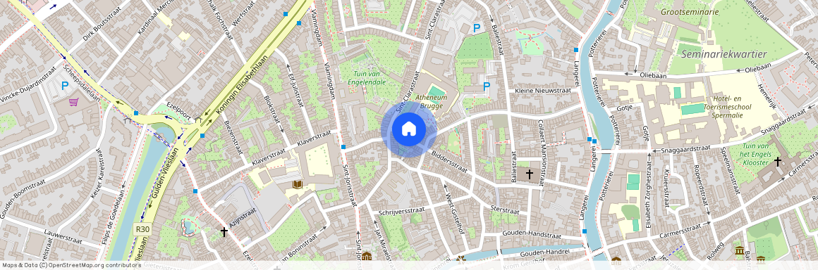 Biddersstraat 13, Brugge